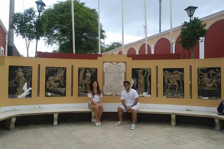 Ballestas Islands to Huacachina: Full-Day Paracas & Ica Desert Adventure photo 5