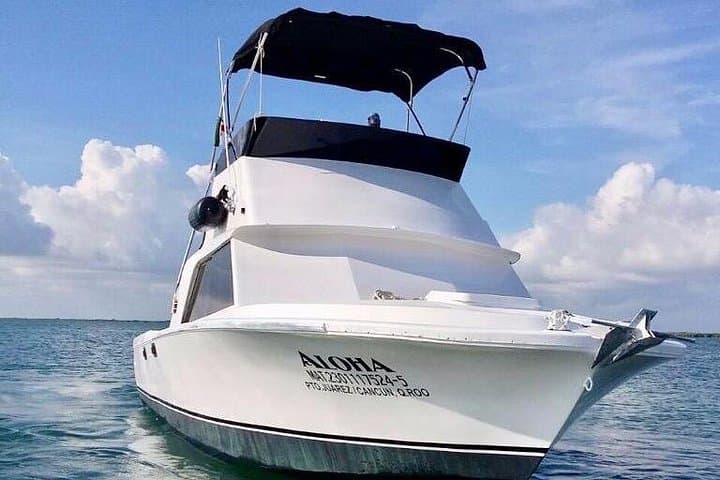 Offshore Fishing Charter in Cancun: Bertram 31ft Private Trips Around Isla Mujeres photo 6