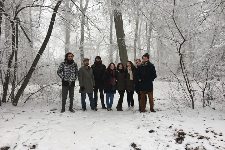 Budapest Hike: Buda Hills Forest Walk to Panoramic City Overlook photo 6