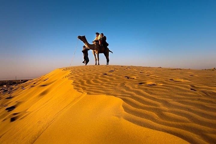 Thar Desert Jeep and Camel Safari — Jaisalmer Two-Hour Adventure photo 3