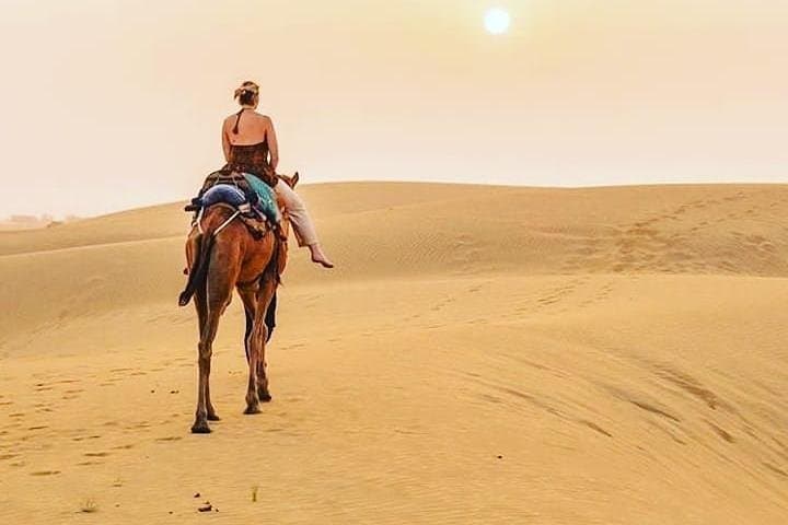 Thar Desert Jeep and Camel Safari — Jaisalmer Two-Hour Adventure photo 4