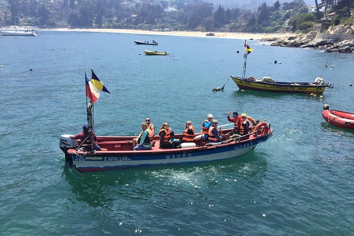 Valparaiso Penguin Boat Trip, Concon Sandboarding & Paragliding Day Tour photo 2