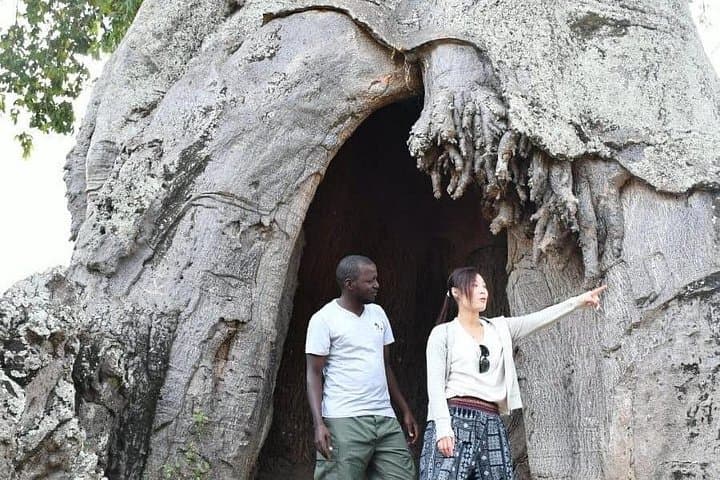 Day Safari to Mikumi National Park from Dar es Salaam — Wildlife Drive & Practical Guide photo 3
