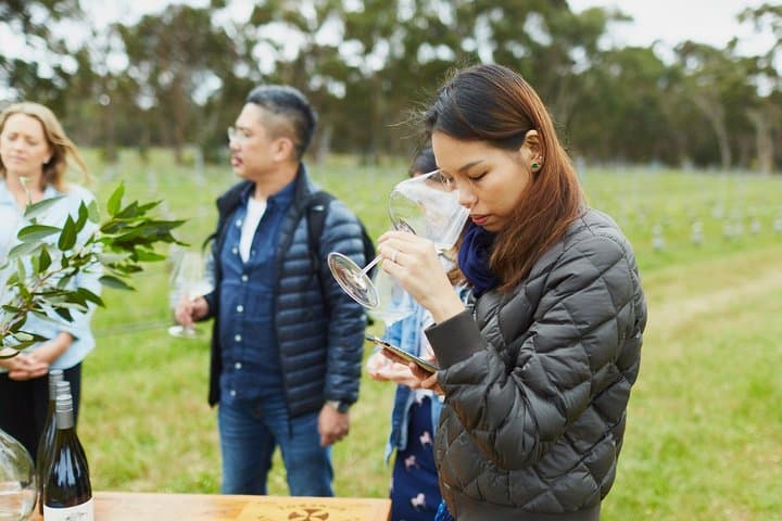 Three-Day Margaret River Charter: Dolphin Cruise, Wine, Caves & Leeuwin Lighthouse from Perth