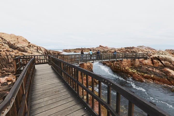 Three-Day Margaret River Charter: Dolphin Cruise, Wine, Caves & Leeuwin Lighthouse from Perth photo 5