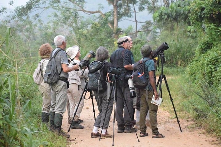 Kitulgala Birdwatching Forest Walk — Makandawa Reserve Half-Day Tour photo 6