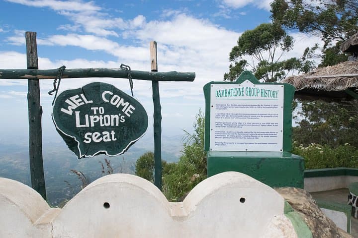 From Ella to Lipton's Seat: Tea-Highland Views & Dambatenne Factory Walk photo 6