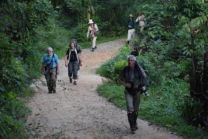 Sinharaja Rainforest Birdwatching Day Hike — Endemic Birds & Elusive Wildlife photo 6