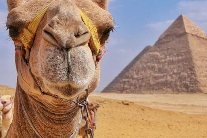 Camel Ride at the Pyramids of Giza — Sunset Safari and Local Snacks photo 3