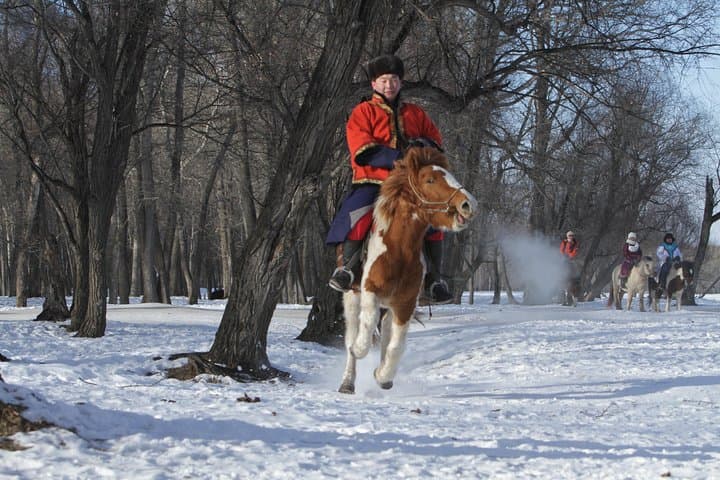 Nomad Ride: Horseback Through Terelj National Park from Ulaanbaatar photo 5
