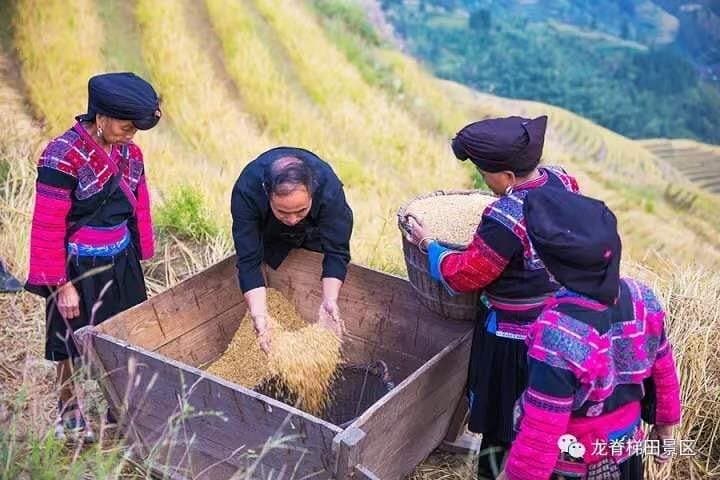 Longji Rice Terraces & Minority Villages: Private Day Tour from Guilin photo 2