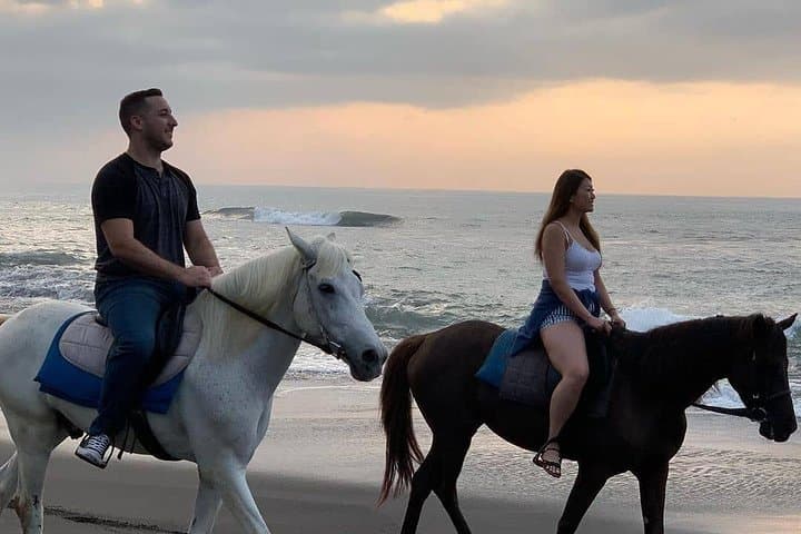 Private Seminyak Beach Horse Ride — One-Hour Coastal Canter in Bali photo 6