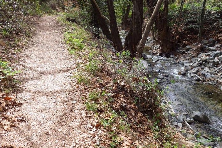 Troodos Walking Trip: Artemis Trail and Myllomeris Waterfalls Day Hike photo 5