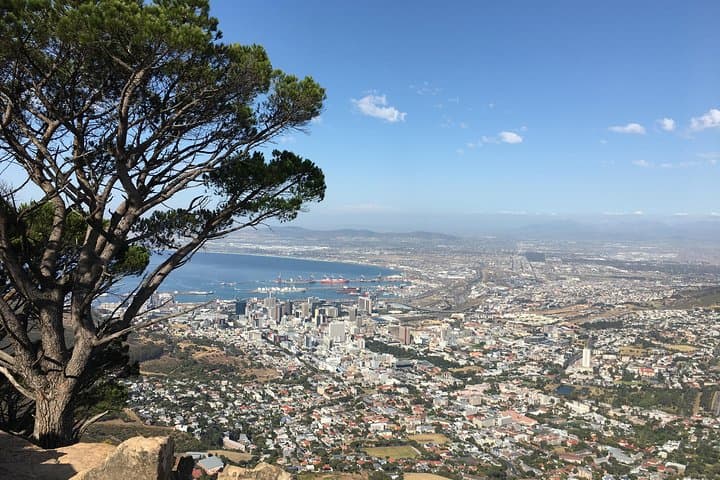 Lion's Head Hike Private Tour — Cape Town Sunrise & Peak Views photo 5