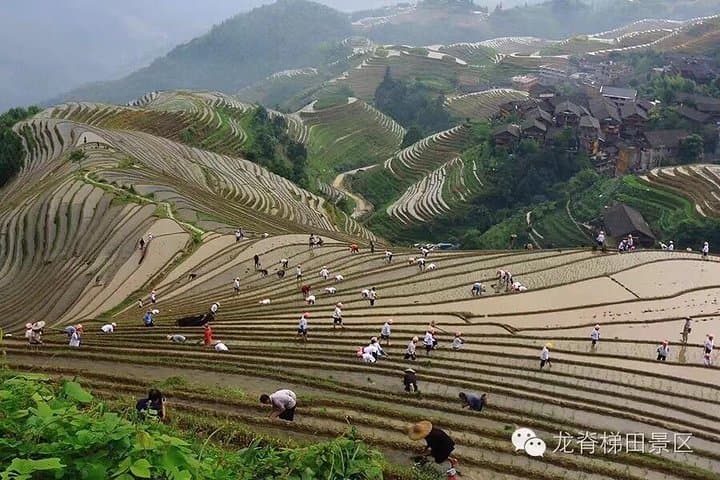 Longji Rice Terraces & Minority Villages: Private Day Tour from Guilin photo 4