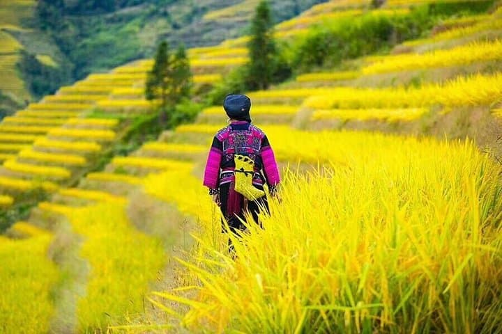 Longji Rice Terraces & Minority Villages: Private Day Tour from Guilin photo 5