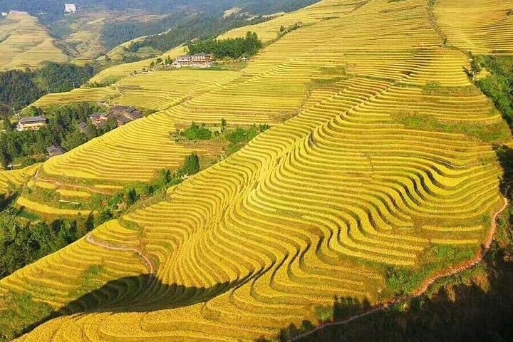 Longji Rice Terraces & Minority Villages: Private Day Tour from Guilin photo 6