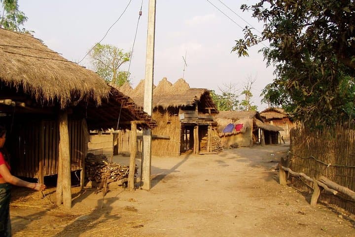 Bardia National Park Tour: Two-Day Wildlife Safari, Canoe Rides & Tharu Culture photo 4