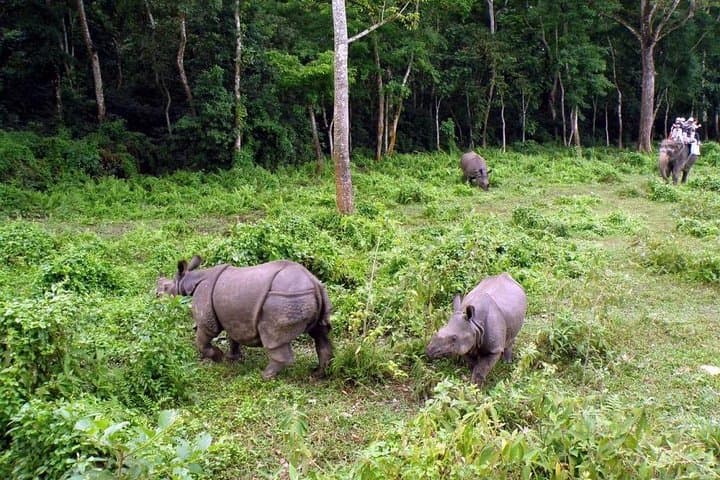 Bardia National Park Tour: Two-Day Wildlife Safari, Canoe Rides & Tharu Culture photo 5