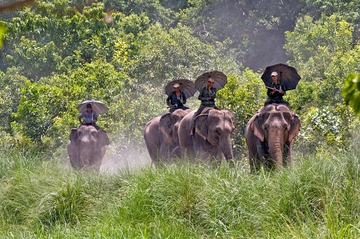 Bardia National Park Tour: Two-Day Wildlife Safari, Canoe Rides & Tharu Culture photo 6