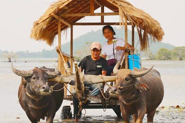 Half-Day Private Buffalo Cart Countryside Tour from Siem Reap