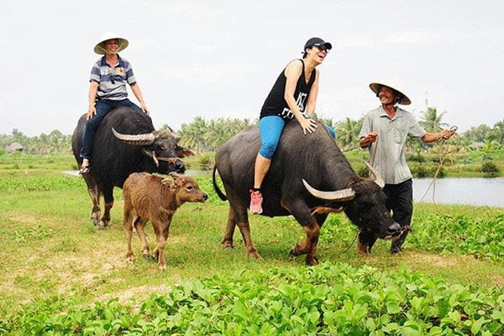 Half-Day Private Buffalo Cart Countryside Tour from Siem Reap photo 2