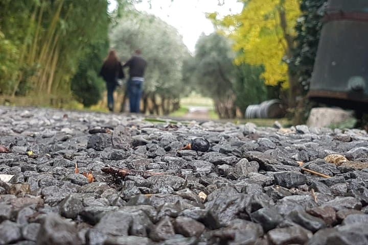 Pasta Making and Wine Tasting in Rome Countryside: Hands-On Winery Day Trip photo 5