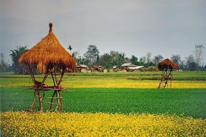 Nepal Highlights Tour: 8-Day Kathmandu, Pokhara & Chitwan Adventure photo 5