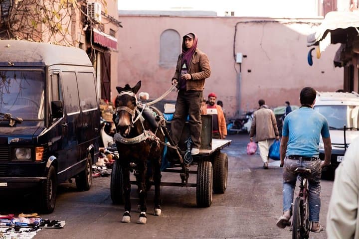 Marrakesh Day Trip from Casablanca: Camel Ride, Agafay Desert & Moroccan Lunch photo 2