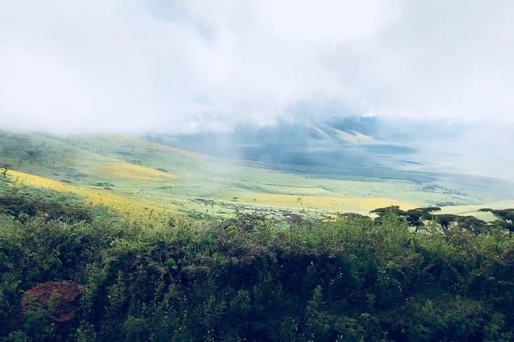 Ngorongoro Crater Game Drive: Full-Day Safari from Arusha photo 5