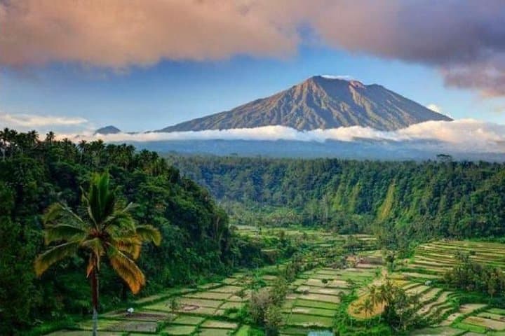 Customize Your Day in Bali: Private Driver & Full-Day Transport Service