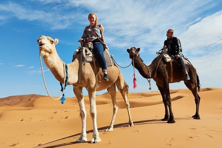 Sunrise and Sunset Camel Safari in Jaisalmer's Thar Desert