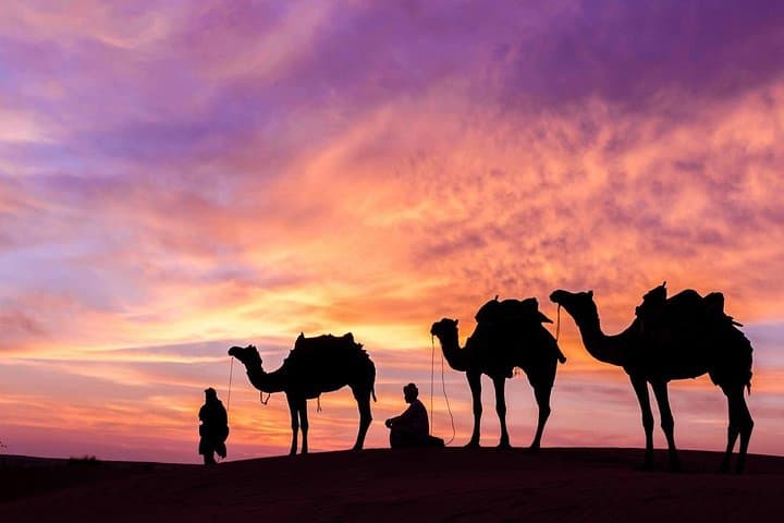 Sunrise and Sunset Camel Safari in Jaisalmer's Thar Desert photo 2