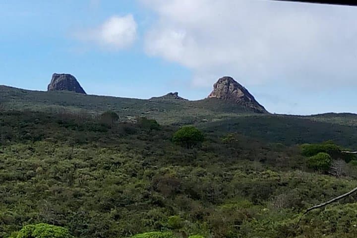 Three Parks One Safari: 6-Day Maasai Mara, Lake Nakuru & Amboseli Adventure photo 5