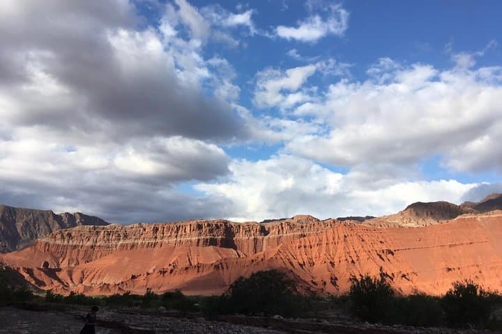 High-Altitude Wines and Red Rock Canyons: Private Day Tour to Cafayate Vineyards photo 5