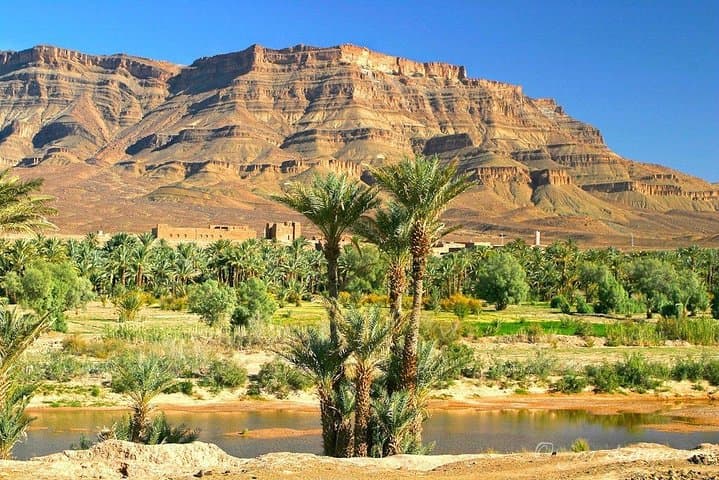 2-Day Zagora Desert Bivouac & Camel Trek from Marrakech photo 4