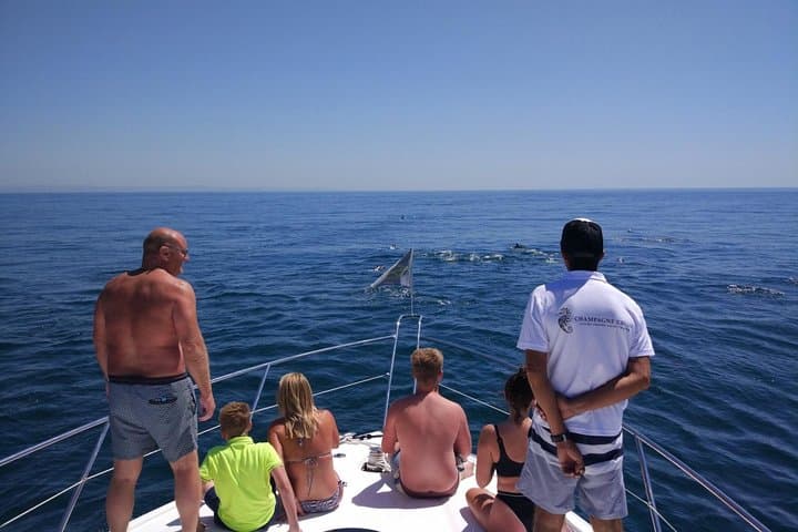 Majestic Sunseeker Private Yacht Hire in the Algarve (Vilamoura) photo 5