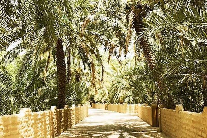 Al Ain City Tour — Explore the UAE Garden City and Jebel Hafeet photo 3