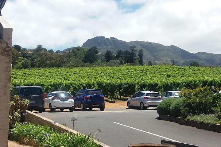 Private Cape Town Wine Tour: Stellenbosch & Franschhoek Day Trip photo 5