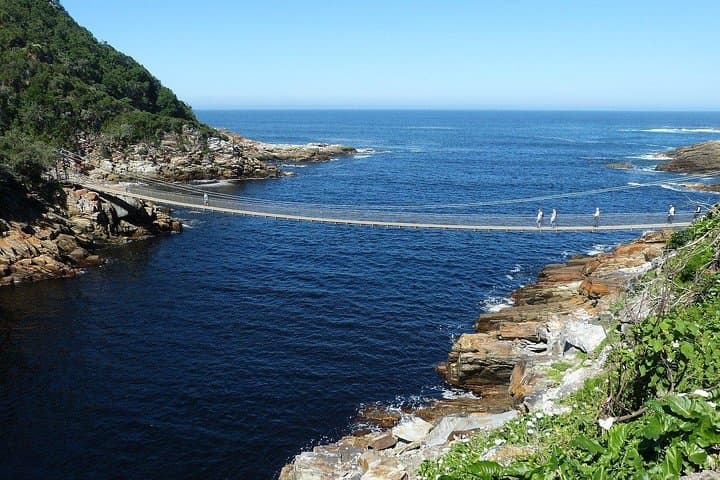 5-Day Garden Route Adventure from Cape Town — Addo Safari, Tsitsikamma, Knysna & Bloukrans Bungy photo 3