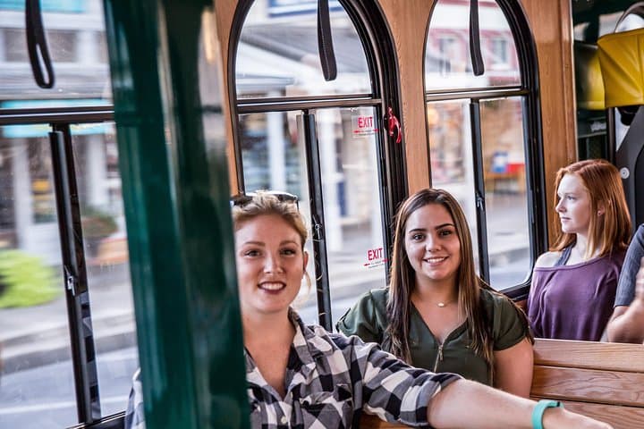 Fredericksburg Historic District Trolley Tour — German Texas History & Marktplatz Highlights photo 2