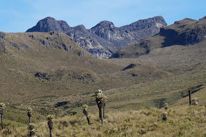 3-Day Trek to Laguna del Otún and Cocora Valley from Manizales photo 2