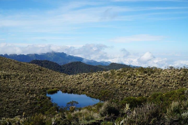 3-Day Trek to Laguna del Otún and Cocora Valley from Manizales photo 4