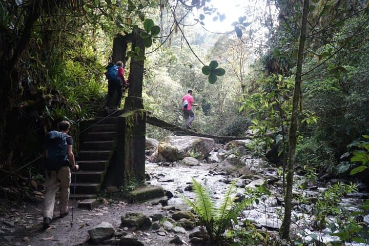 3-Day Trek to Laguna del Otún and Cocora Valley from Manizales photo 6