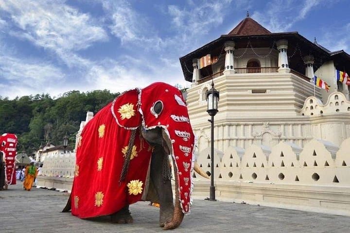 Private Day Tour to Kandy from Galle & Bentota — Temple, Tea & Gardens photo 1