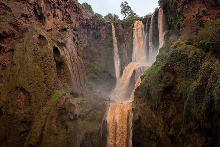 Ouzoud Falls Day Trip from Marrakech — Hike, Swim and Meet the Monkeys photo 6