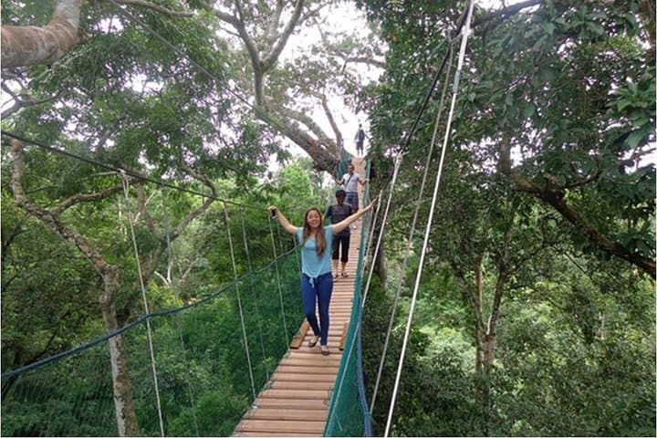 Full-Day Amazon Adventures in Tambopata: Canopy Walk, Zipline & Kayak photo 3
