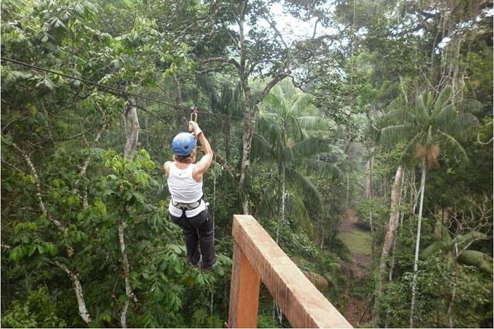 Full-Day Amazon Adventures in Tambopata: Canopy Walk, Zipline & Kayak photo 4