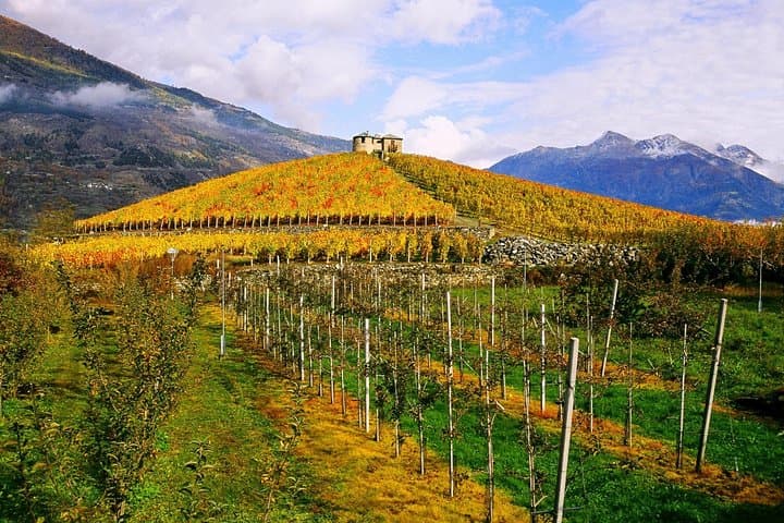 Sicily: Food, Wine and Timeless Landscapes — 8-Day Cultural Tour photo 3