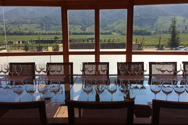 Colchagua Valley Wine Experience: Lapostolle & Montes Wineries Day Tour from Santiago